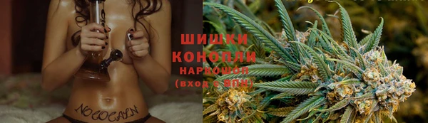 МДПВ Гусиноозёрск