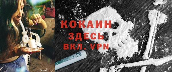 гашик Гусь-Хрустальный