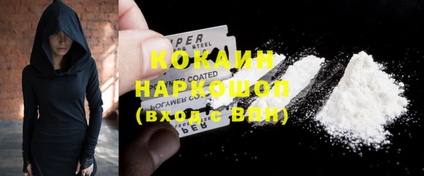 гашик Гусь-Хрустальный