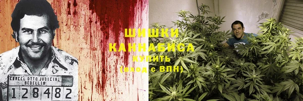 прущая мука Тавда