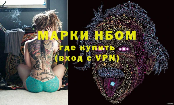 гашик Гусь-Хрустальный