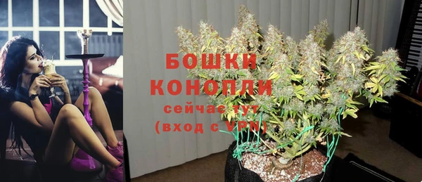 гашик Гусь-Хрустальный