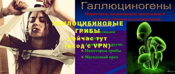 ALPHA PVP Гусев