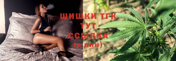 ALPHA PVP Гусев