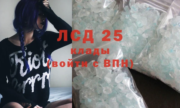 гашик Гусь-Хрустальный