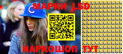 jwh Бийск