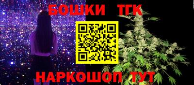 jwh Бийск
