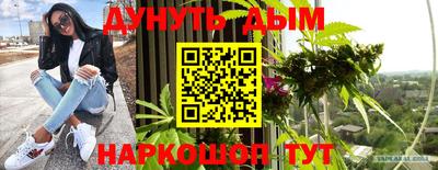 jwh Бийск