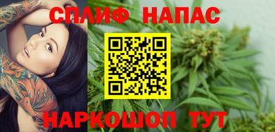 jwh Бийск