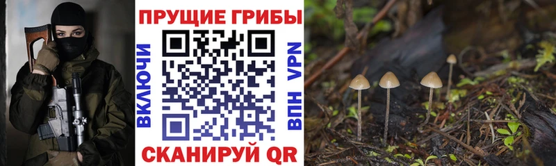 продажа наркотиков  Балаково  кракен сайт  Галлюциногенные грибы Psilocybe 