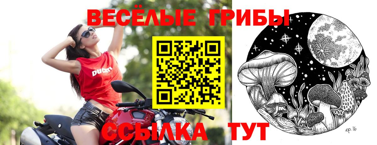 Псилоцибиновые грибы Magic Shrooms  Балаково  где продают наркотики  Псилоцибиновые грибы ЛСД 