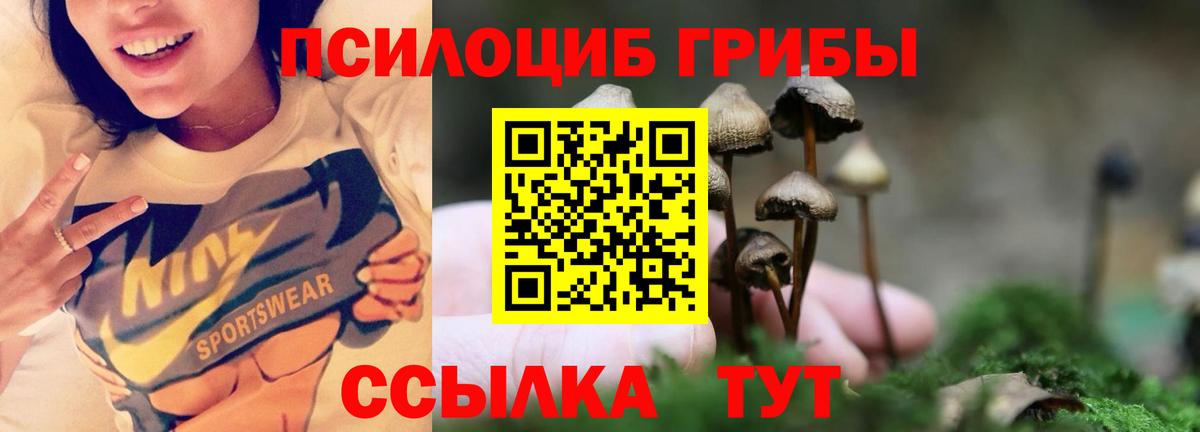 Псилоцибиновые грибы прущие грибы  Вход с VPN  Балаково  Галлюциногенные грибы MAGIC MUSHROOMS 